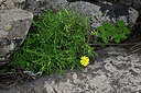 BUITEN BEELD Foto: 448747