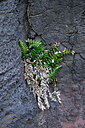 BUITEN BEELD Foto: 448748