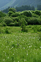 BUITEN BEELD Foto: 448749
