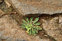 BUITEN BEELD Foto: 448750