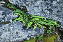 BUITEN BEELD Foto: 448751