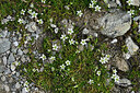 BUITEN BEELD Foto: 448752