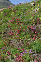 BUITEN BEELD Foto: 448753