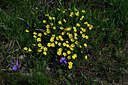 BUITEN BEELD Foto: 448754