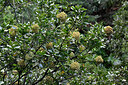 BUITEN BEELD Foto: 448758