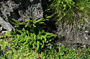 BUITEN BEELD Foto: 448760