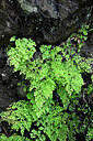 BUITEN BEELD Foto: 448761