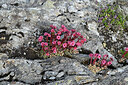 BUITEN BEELD Foto: 448763
