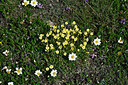 BUITEN BEELD Foto: 448767