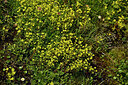 BUITEN BEELD Foto: 448768