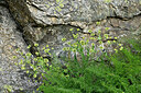 BUITEN BEELD Foto: 448769