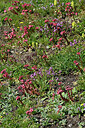 BUITEN BEELD Foto: 448774