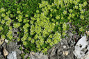 BUITEN BEELD Foto: 448776