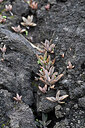 BUITEN BEELD Foto: 448779