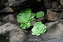 BUITEN BEELD Foto: 448780