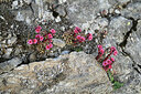 BUITEN BEELD Foto: 448782