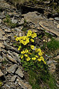 BUITEN BEELD Foto: 448783