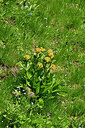 BUITEN BEELD Foto: 448786