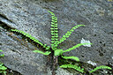 BUITEN BEELD Foto: 448787