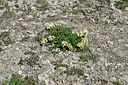 BUITEN BEELD Foto: 448788