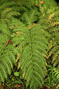 BUITEN BEELD Foto: 448792