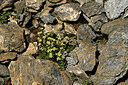 BUITEN BEELD Foto: 448795