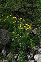 BUITEN BEELD Foto: 448799