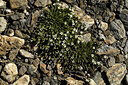 BUITEN BEELD Foto: 448800