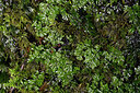 BUITEN BEELD Foto: 448801