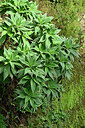 BUITEN BEELD Foto: 448804