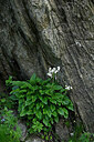 BUITEN BEELD Foto: 448813