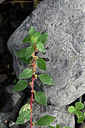 BUITEN BEELD Foto: 448814