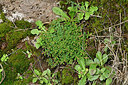 BUITEN BEELD Foto: 448815