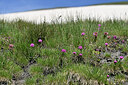 BUITEN BEELD Foto: 448816