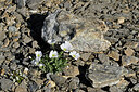 BUITEN BEELD Foto: 448818
