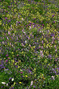 BUITEN BEELD Foto: 448821