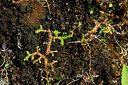 BUITEN BEELD Foto: 448823