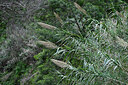 BUITEN BEELD Foto: 448824
