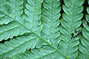 BUITEN BEELD Foto: 448825