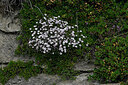 BUITEN BEELD Foto: 448826