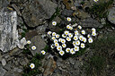 BUITEN BEELD Foto: 448827