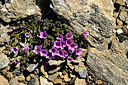 BUITEN BEELD Foto: 448833