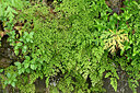 BUITEN BEELD Foto: 448834