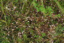 BUITEN BEELD Foto: 448838