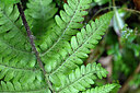 BUITEN BEELD Foto: 448841