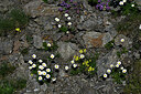 BUITEN BEELD Foto: 448842