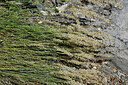 BUITEN BEELD Foto: 448846