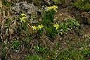 BUITEN BEELD Foto: 448851