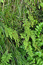 BUITEN BEELD Foto: 448855