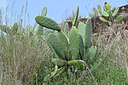 BUITEN BEELD Foto: 448857